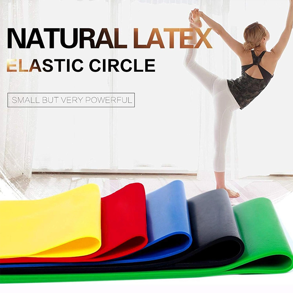 Resistance Loop Bands Yoga Elastic Bands, Chest Developer Pilates Sport Training Exercises Gym Fitness Exercises Workout Equipment