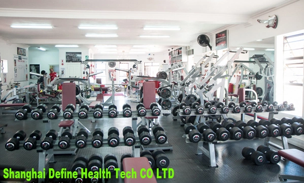 Free weight & accessories, freeweights,dumbbell & racks,home fitness and accessories,Commercial Clubbell -DHD-020