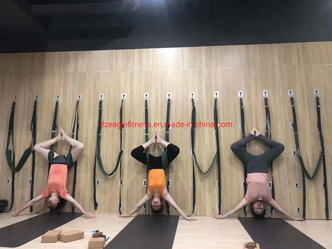 Yoga Wall Installation Accessories Yoga Pelvic Swing Yoga Wall System Pelvic Swing Belts Pilates Wall