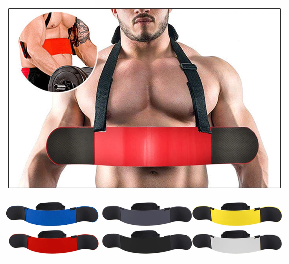 Fitness Equipment Biceps Training Board Gym Accessories